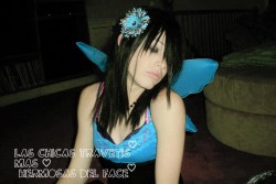 imagebam.com