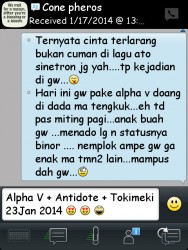 ImageBam image upload