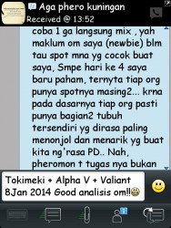 ImageBam image upload