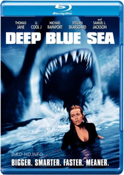 Deep Blue Sea 1999 m720p BluRay x264-BiRD Deep Blue Sea 1999 m720p BluRay x264-BiRD