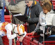 Боде Миллер (Bode Miller) - Men's Alpine Skiing Super-G, Krasnaya Polyana, Russia, 02.16.2014 (89xHQ) Be7a46309921167