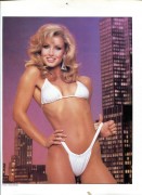 Heather Thomas 3da253311230534