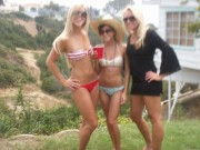 [Image: f56c94312114808.jpg]