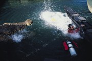 Лейк-Плэсид: Озеро страха / Lake Placid (1999)  D893f1320797312