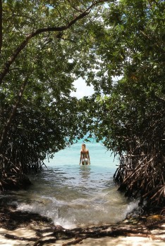 imagebam.com