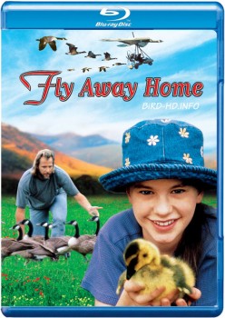 Fly Away Home 1996 m720p BluRay x264-BiRD Fly Away Home 1996 m720p BluRay x264-BiRD
