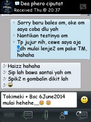 ImageBam image upload