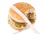 Гамбургер, бургер, чисбургер (fast food) E350d6336612211