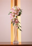 Праздничные цветы / Celebratory Flowers (200xHQ) 140605337465999