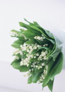 Праздничные цветы / Celebratory Flowers (200xHQ) 1e98b3337465530