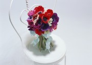 Праздничные цветы / Celebratory Flowers (200xHQ) 4d9afe337466248