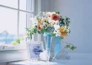 Праздничные цветы / Celebratory Flowers (200xHQ) D82c23337465248