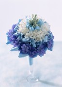Праздничные цветы / Celebratory Flowers (200xHQ) E3300c337465239
