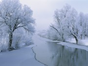 Winter / Зима - (166xHQ)  363ccd337519494