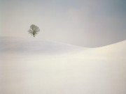 Winter / Зима - (166xHQ)  778bcf337519576