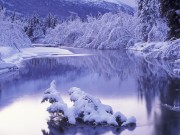 Winter / Зима - (166xHQ)  9d3151337519970