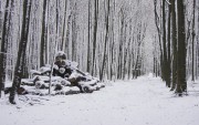 Winter / Зима - (166xHQ)  B42d06337519154