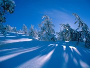 Winter / Зима - (166xHQ)  6429f0337520188