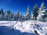 Winter / Зима - (166xHQ)  F9e94e337520074