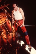 Queen и Freddie Mercury 9e3b19338229612