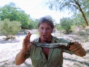 Охотник на крокодилов: Схватка / The Crocodile Hunter Collision Course (2002) (11xHQ) 0c56d2342789180