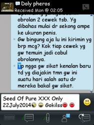 ImageBam image upload