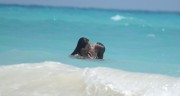 Кара Делевинь и Мишель Родригес (Michelle Rodriguez, Cara Delevigne) at beach in Cancún, Mexico, 2014.03.28 (58xHQ) Ef5eb4349072460