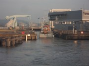 imagebam.com