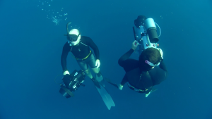 BBC: ������� ������� / Ocean Giants (2011/BDRip 720p)