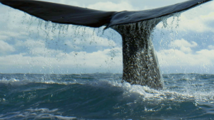 BBC: ������� ������� / Ocean Giants (2011/BDRip 720p)