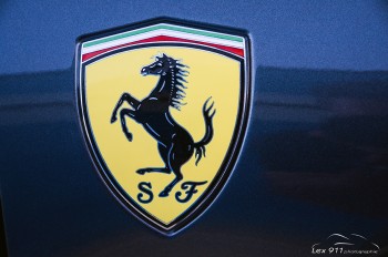 cc31e6352954127.jpg