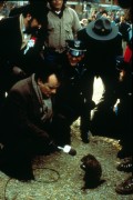 День сурка / Groundhog Day (1993) A95593355522002