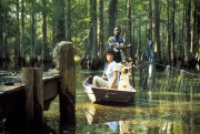 Болотная тварь / Swamp Thing (1982) Ad146c357266761