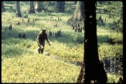 Болотная тварь / Swamp Thing (1982) Bb62e5357267113