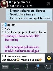 ImageBam image upload