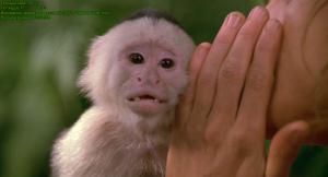 Джордж из джунглей / George of the Jungle (1997) WEB-DL 720p Джордж из джунглей / George of the Jungle (1997) WEB-DL 720p