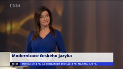 Obrázek