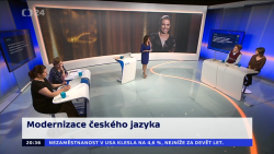 Obrázek