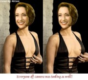 Nana Visitor Fakes